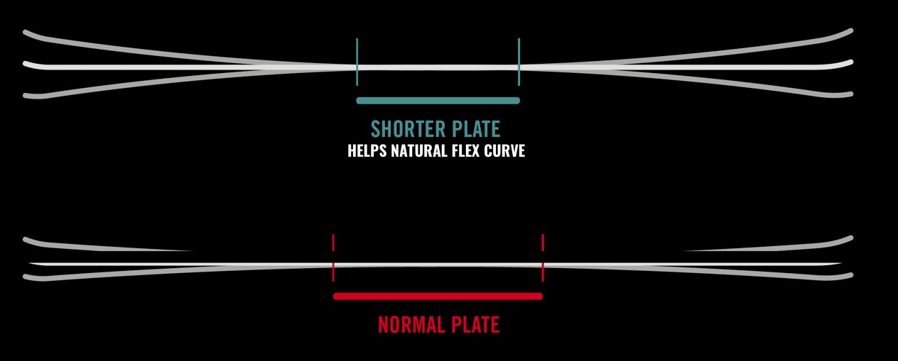 FLEX CURVE