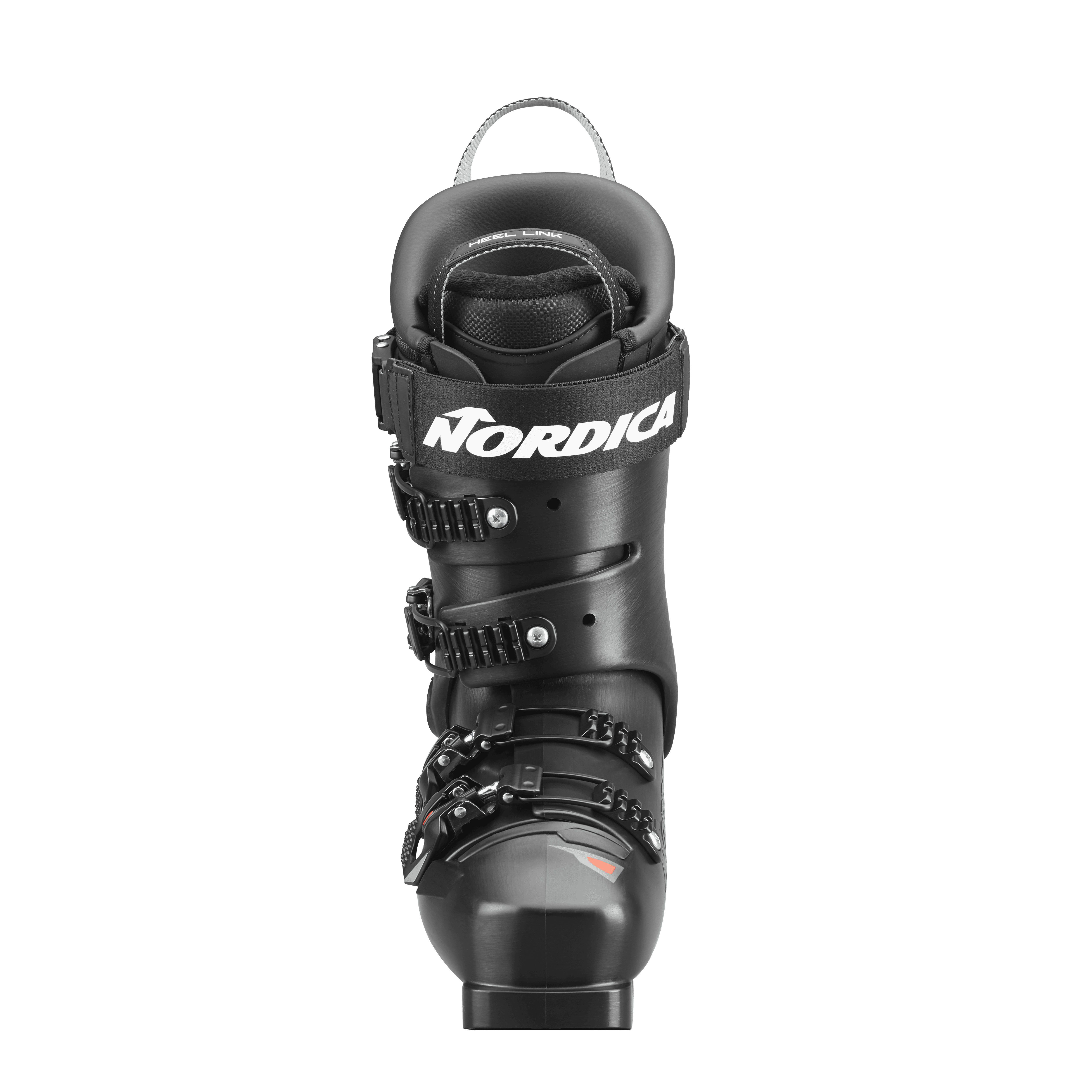 Dobermann 5 RD-93(Medium) thumb gallery 3