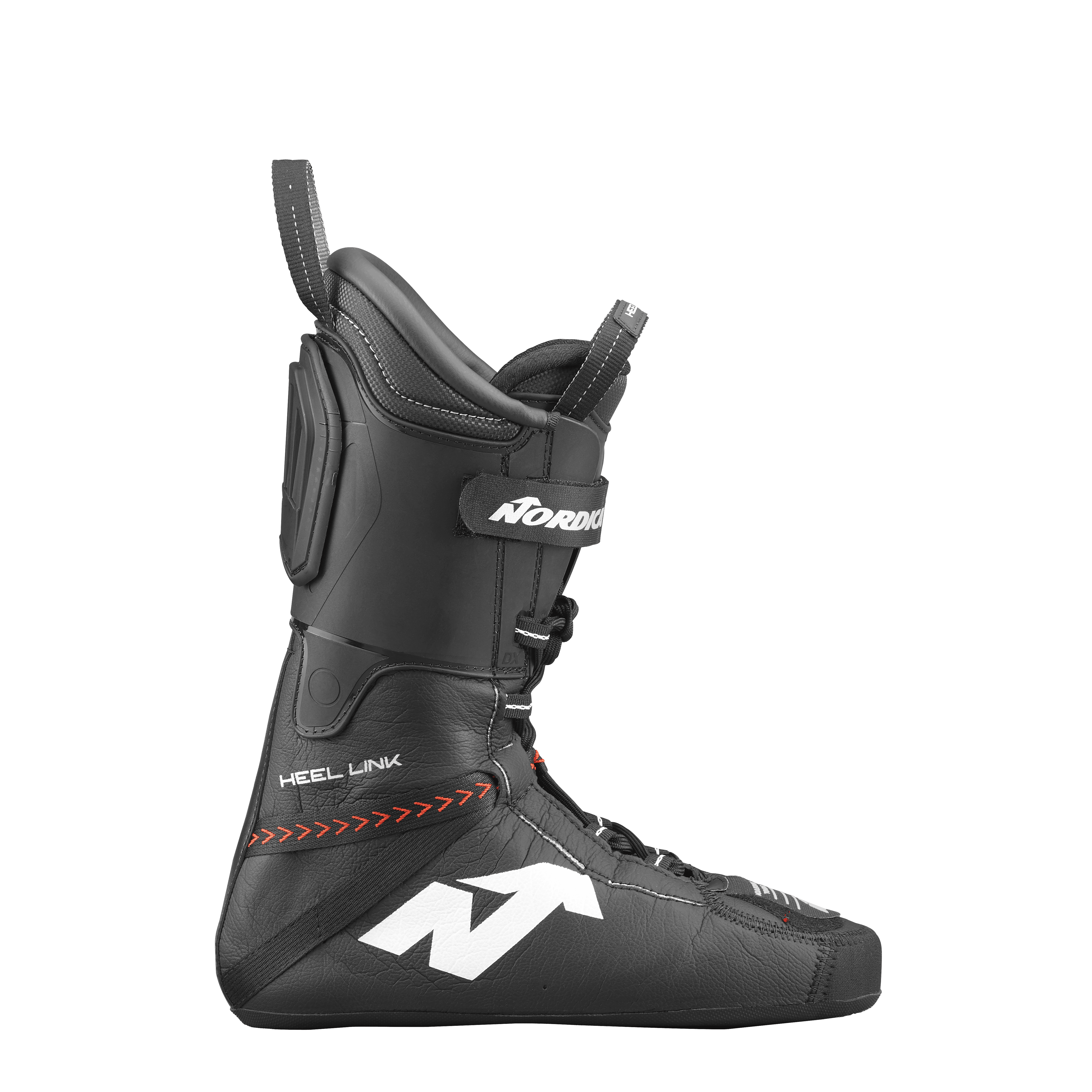 Dobermann 5 RD-93(Medium) thumb gallery 4