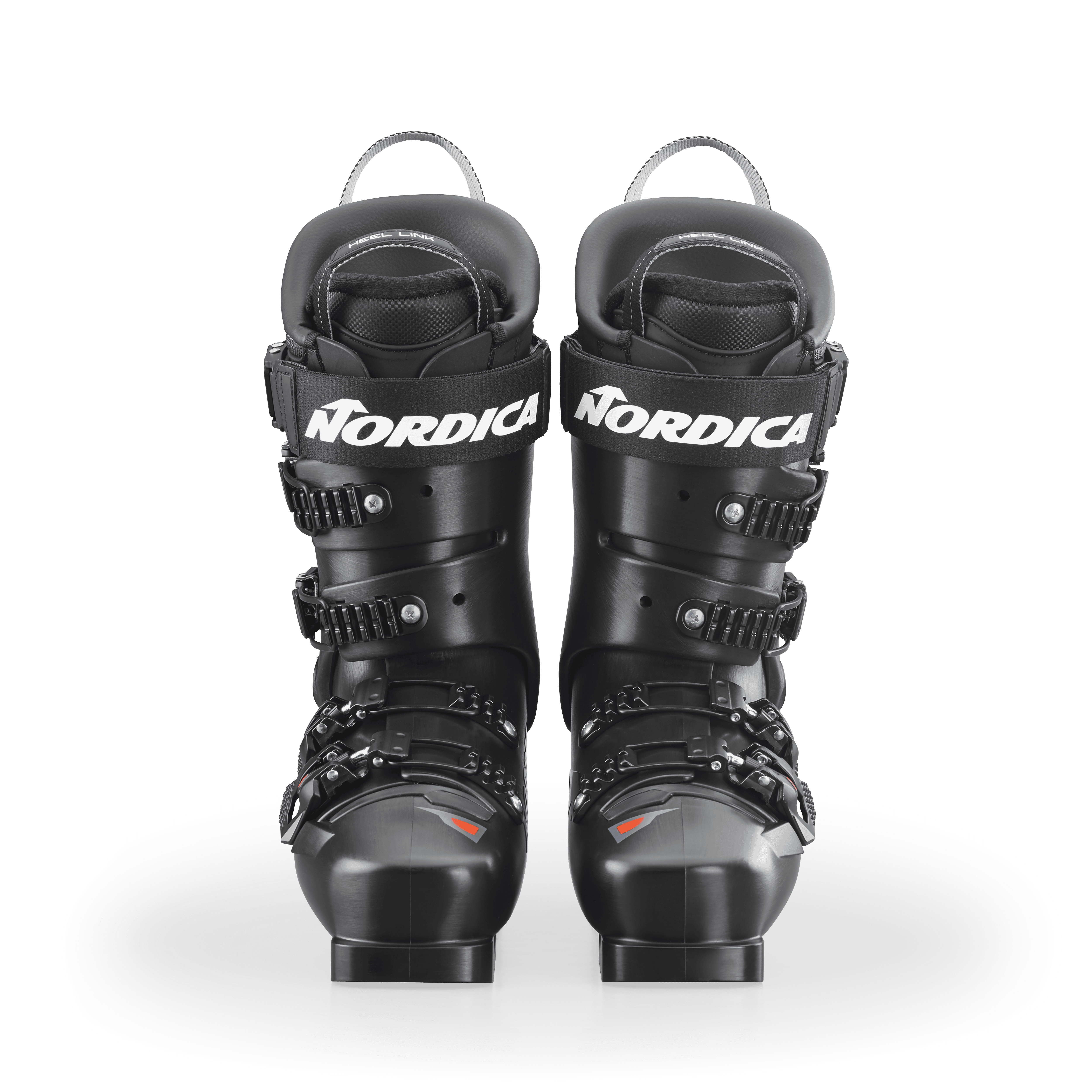 Dobermann 5 RD-93(Medium) thumb gallery 8