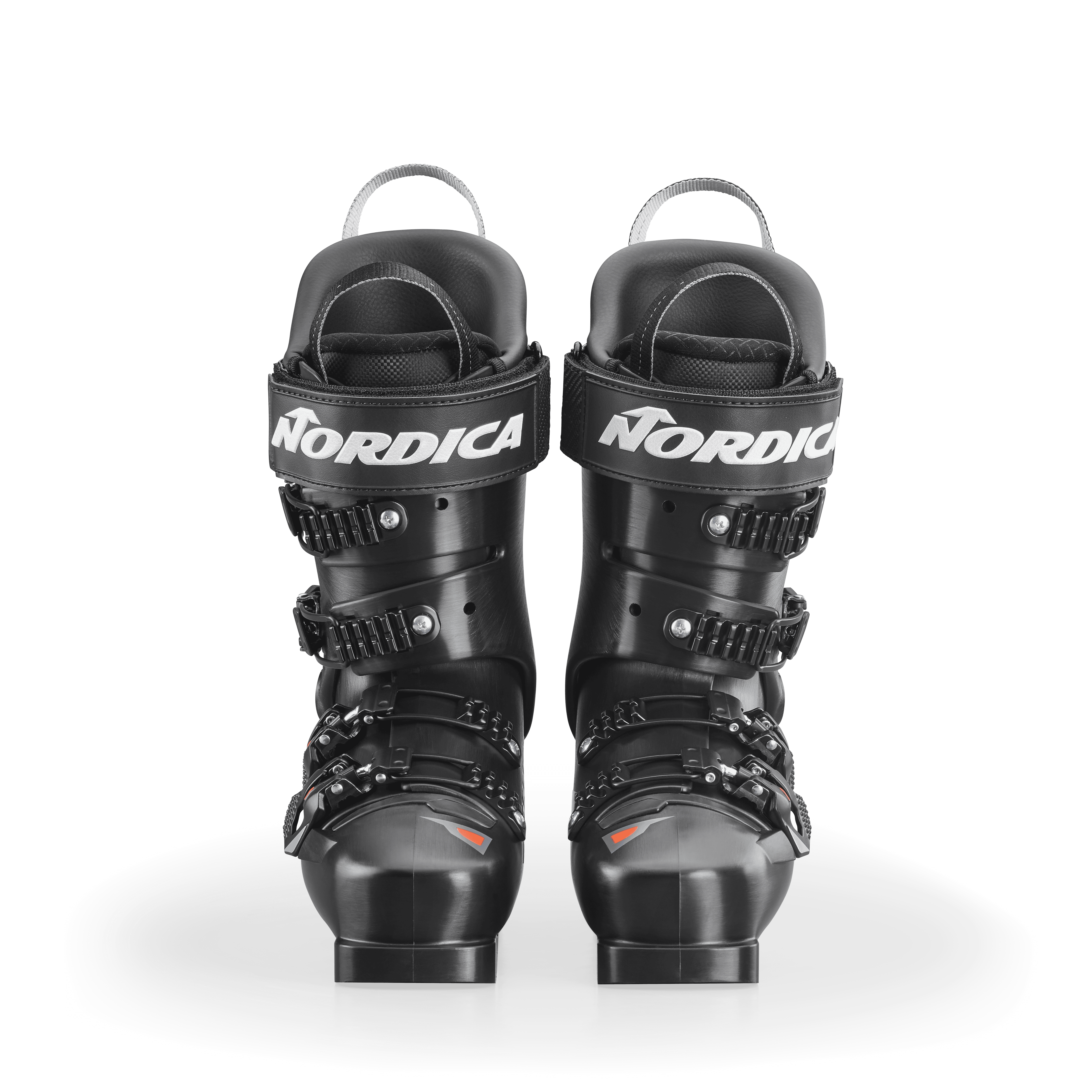 Dobermann 5 96 L.C.(Medium) thumb gallery 8