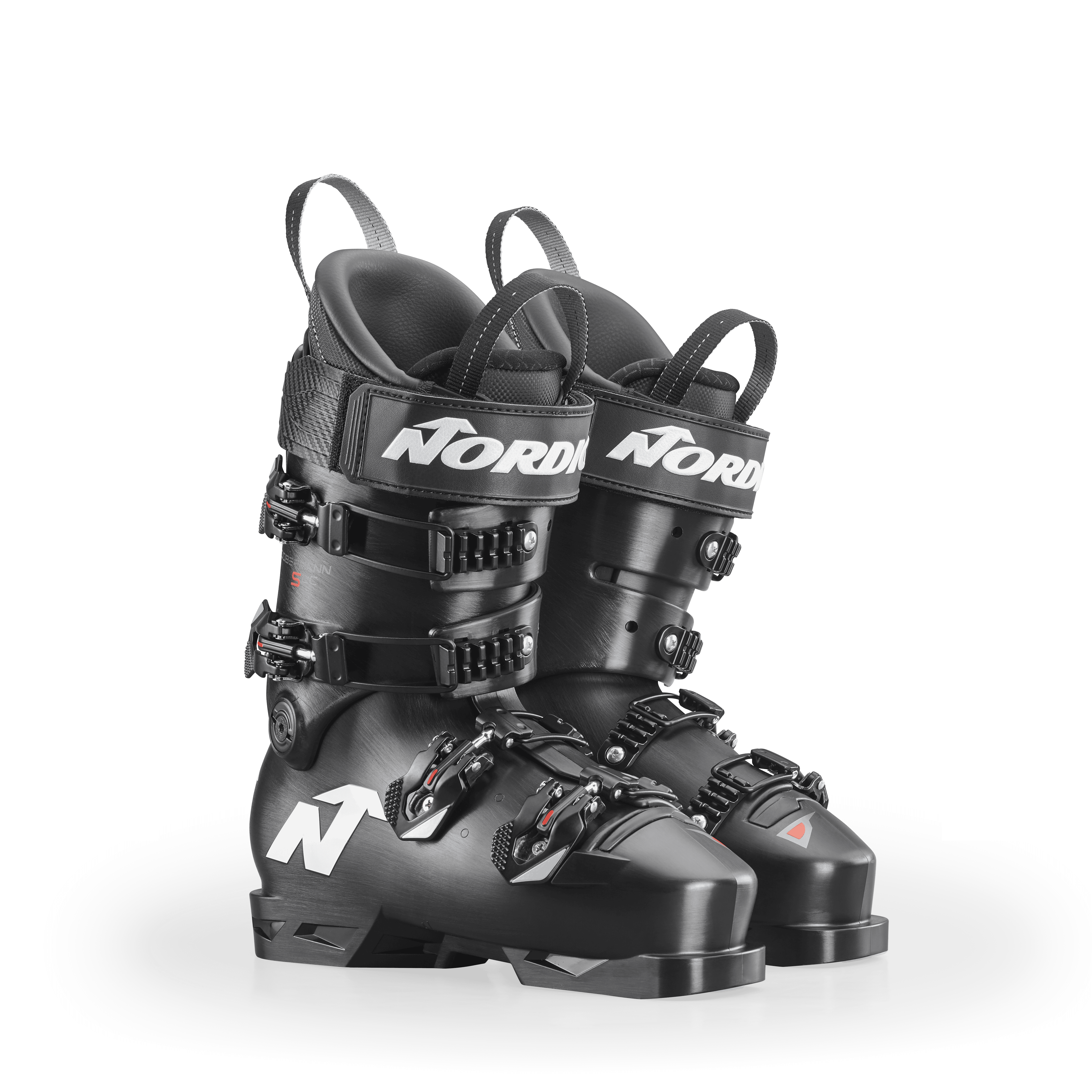 Dobermann 5 96 Soft L.C. thumb gallery 7