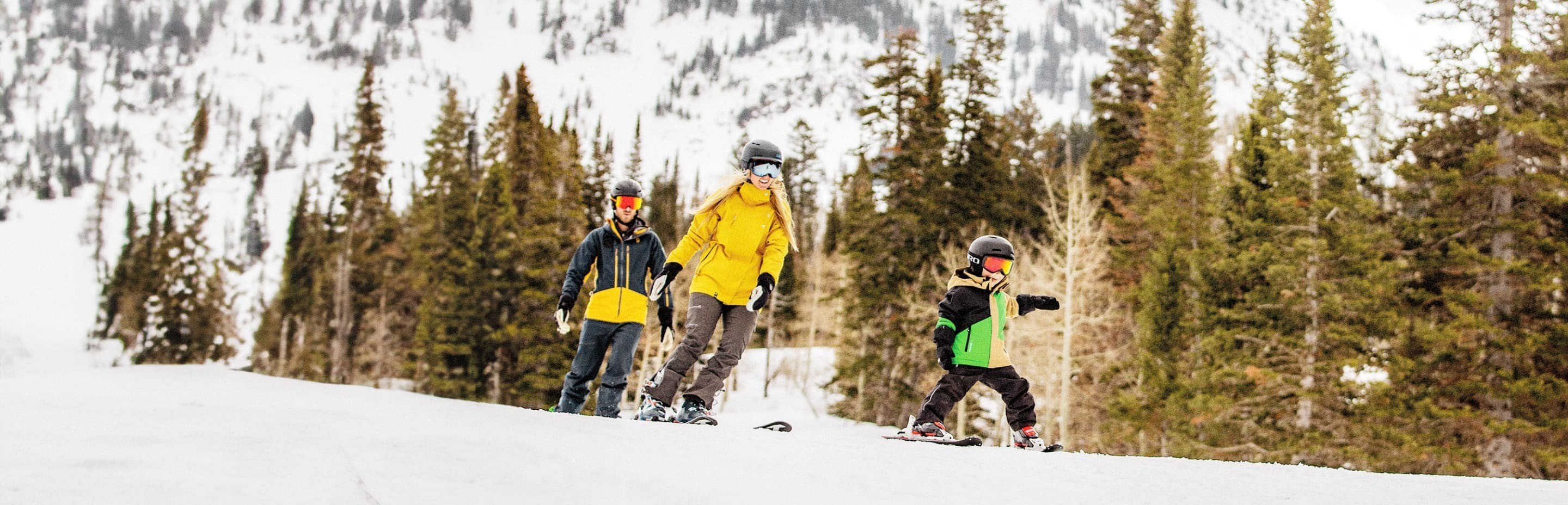 All Mountain action