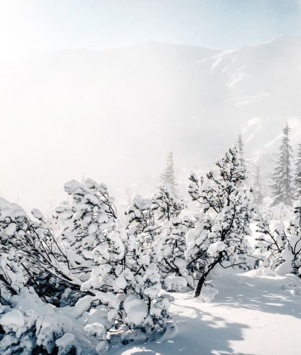 Freeride Invitation