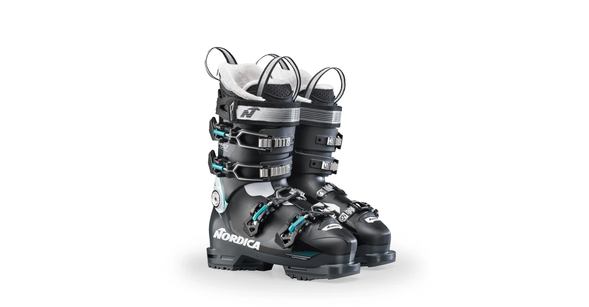 Nordica cruise outlet 85 w