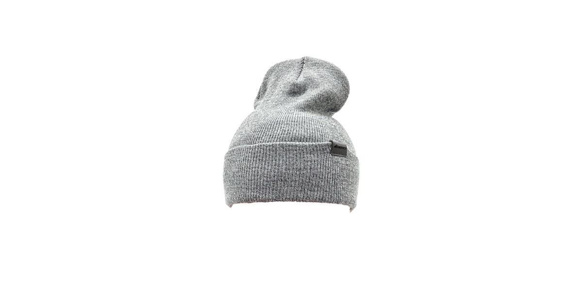 Pow Day Beanie - Gray Nordica - Skis and Boots – Official website