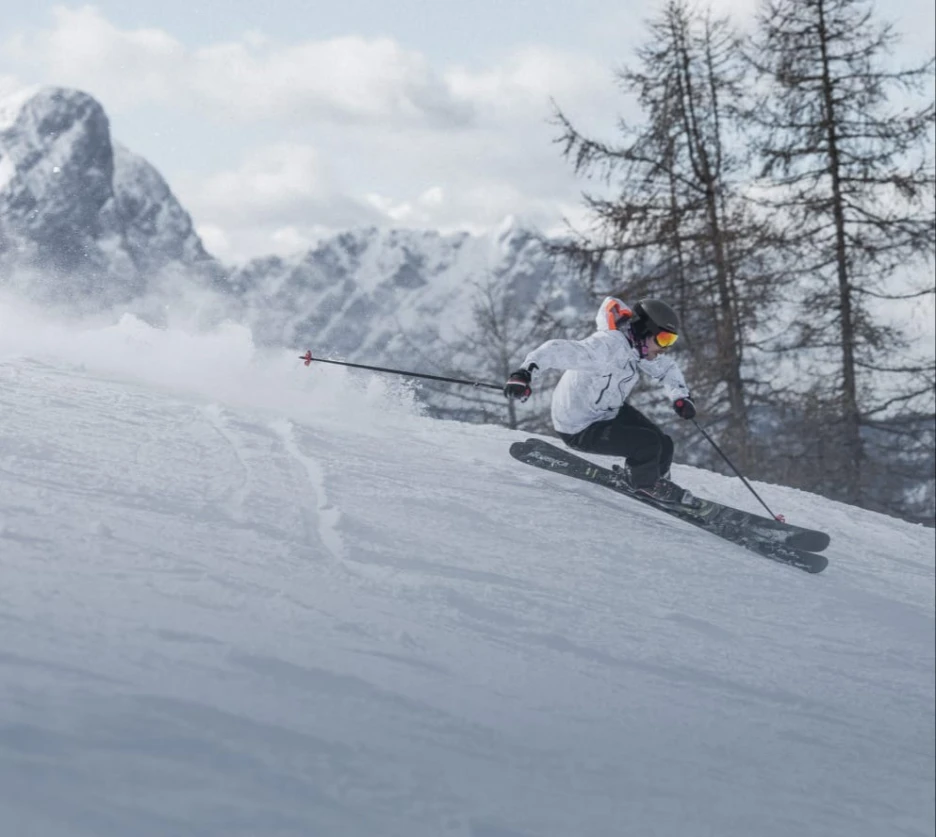 Enforcer Nordica - Skis and Boots – Official website